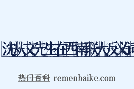沈从文先生在西南联大反义词是什么意思的图片